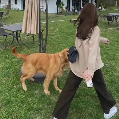 爱你所以离开你